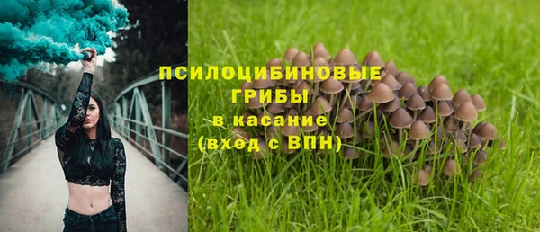 ECSTASY Алексеевка