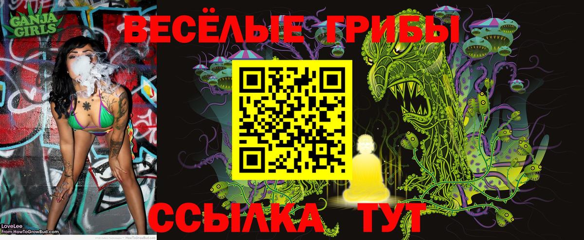 где найти наркотики  Псилоцибиновые грибы Magic Shrooms  Галлюциногенные грибы Psilocybine cubensis  Вход с VPN  Североуральск 