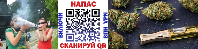 где купить наркоту  Североуральск  Каннабис план 